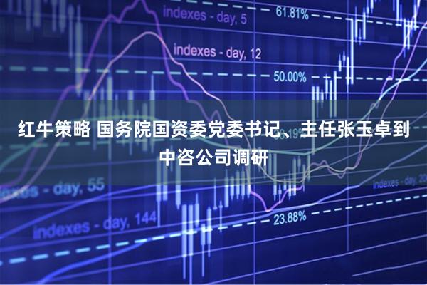 红牛策略 国务院国资委党委书记、主任张玉卓到中咨公司调研