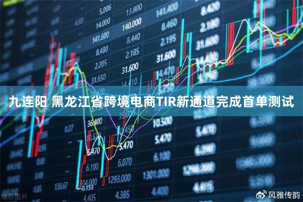 九连阳 黑龙江省跨境电商TIR新通道完成首单测试