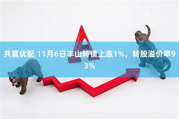 共赢优配 11月6日丰山转债上涨1%，转股溢价率93%
